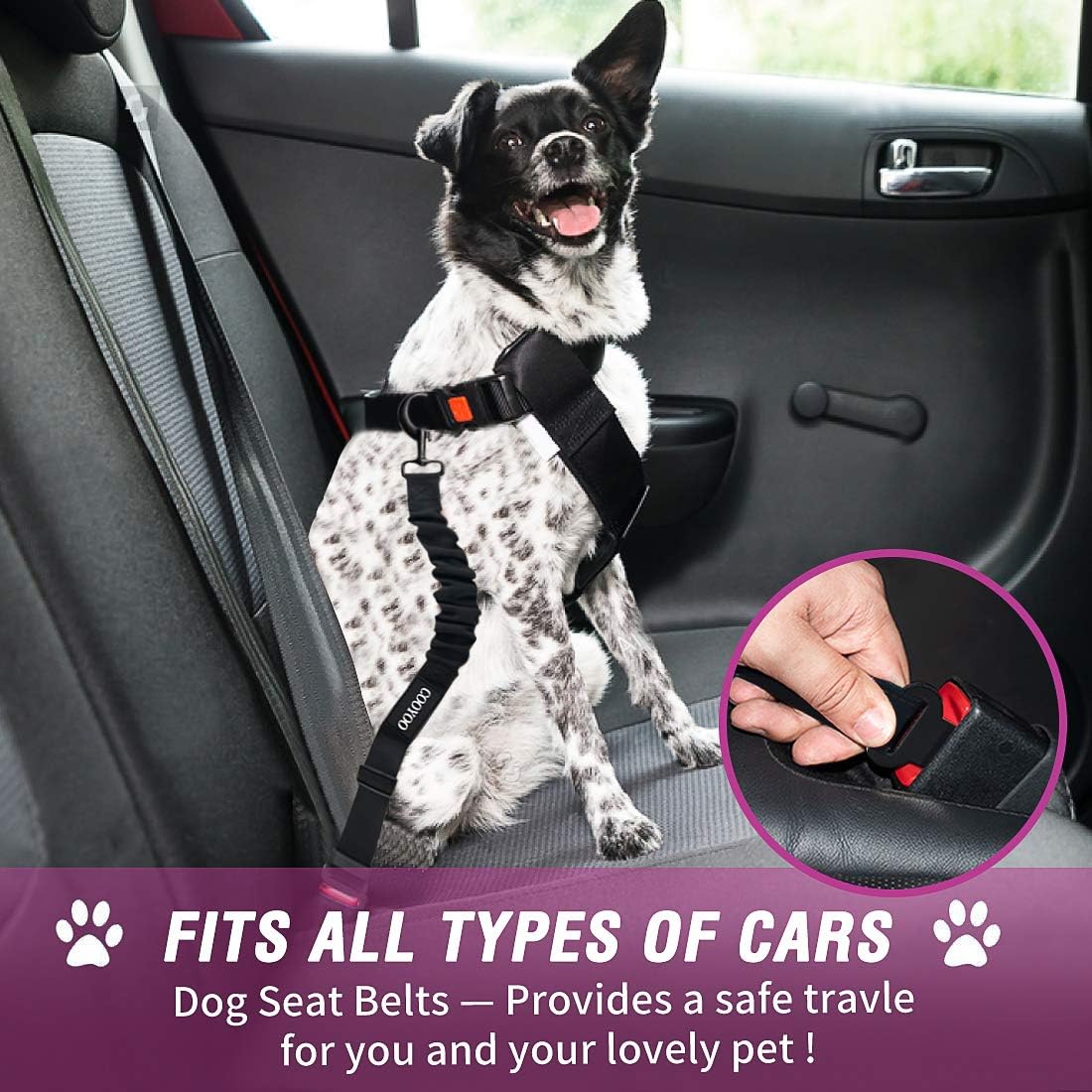 COOYOO Dog Seat Belt,3 Piece Set Retractable Dog Car Adjustable Seatbelts for Vehicle Nylon Pet