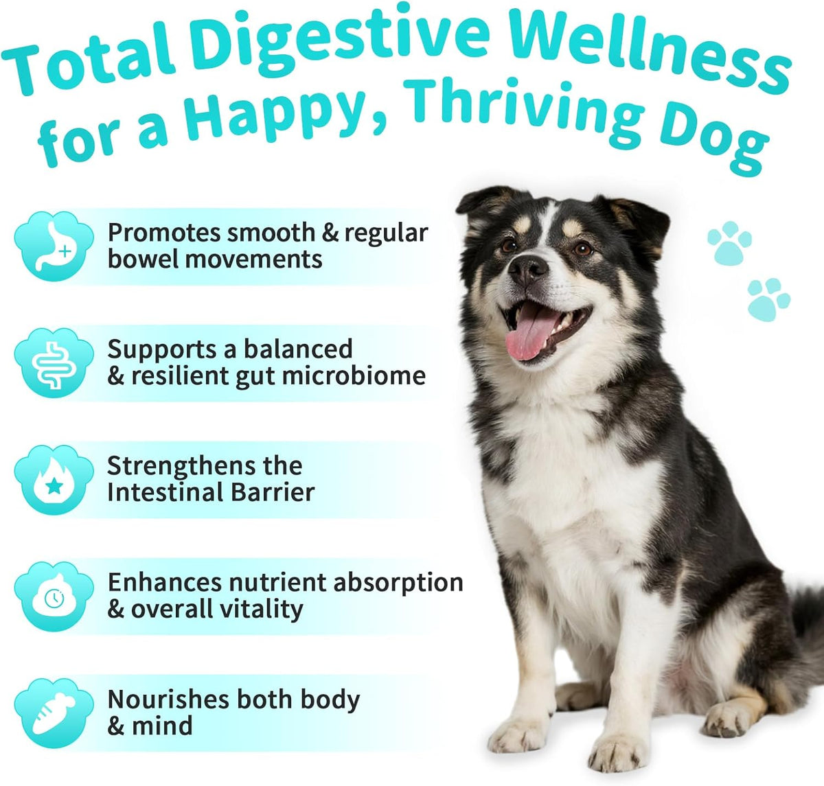 Probiotics for Dogs, Digestive Enzymes for Gut Health Support, Dog Fiber Supplement with Pumpkin