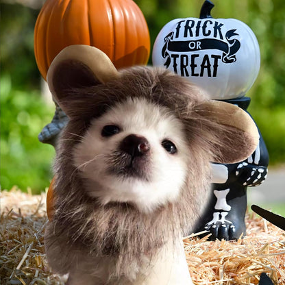 Enjoying Cat Lion Mane Costume, Small Dogs Halloween Outfit, Lion Mane Wig for Cat Cosplay, Kitten