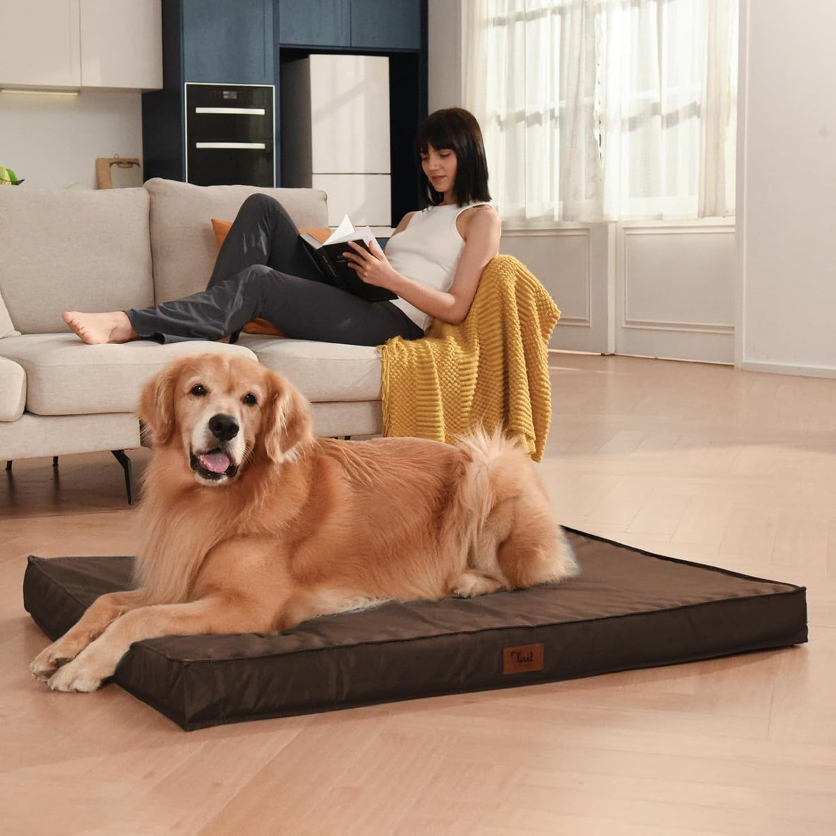 Outdoor Large Dog Bed, Waterproof Dog Bed for Large Dogs, Egg Crate Foam Pet Bed with Removable