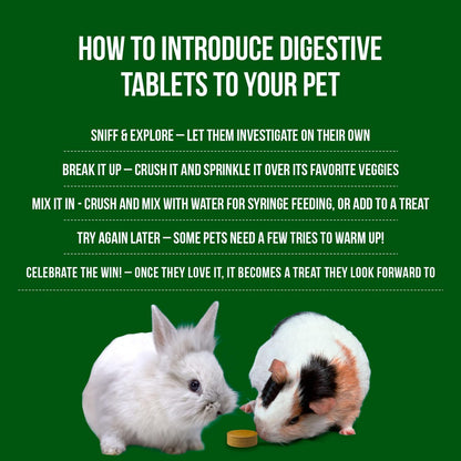Digestive Support, Papaya by Sherwood Pet Health (100 Tablets - 60 Grams). Contains Natural