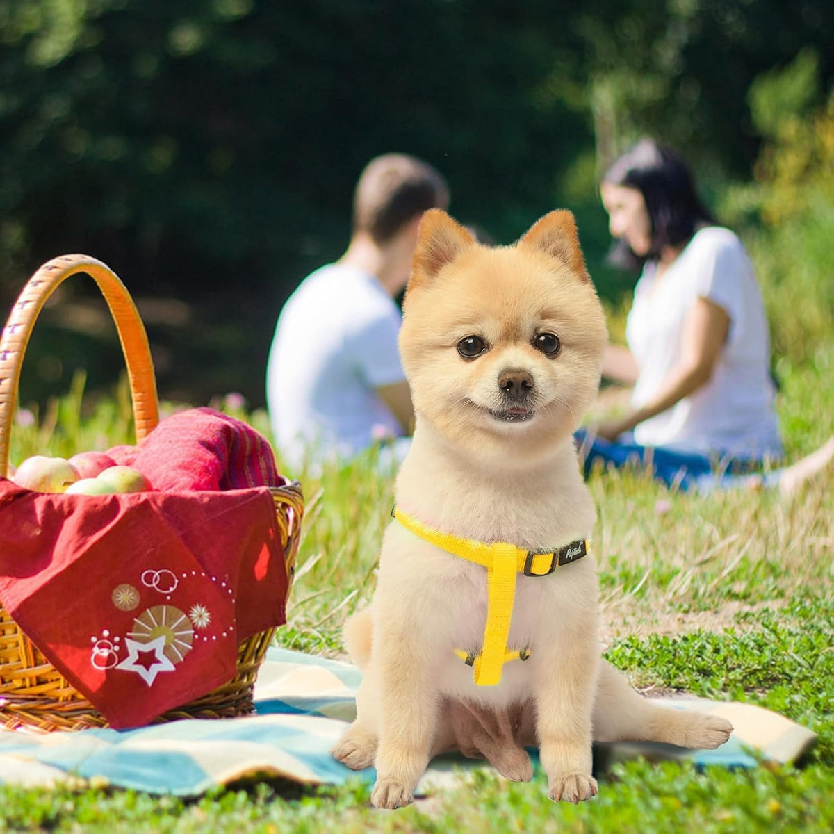 PUPTECK No Pull Dog Harness Soft Adjustable Basic Nylon Step in Puppy Vest Outdoor Walking with ID