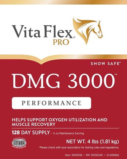 Pro DMG 3000 Horse DMG Concentrate, 4 Pounds, 128-Day Supply