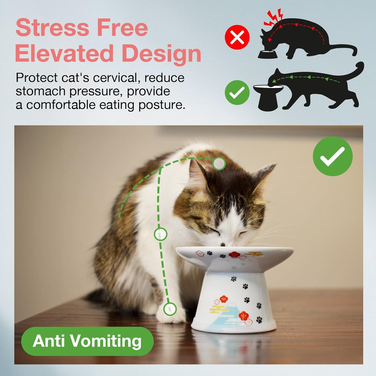 Necoichi Raised Cat Food Bowl – Ceramic Elevated Cat Bowl for Whisker & Neck Fatigue, Dishwasher