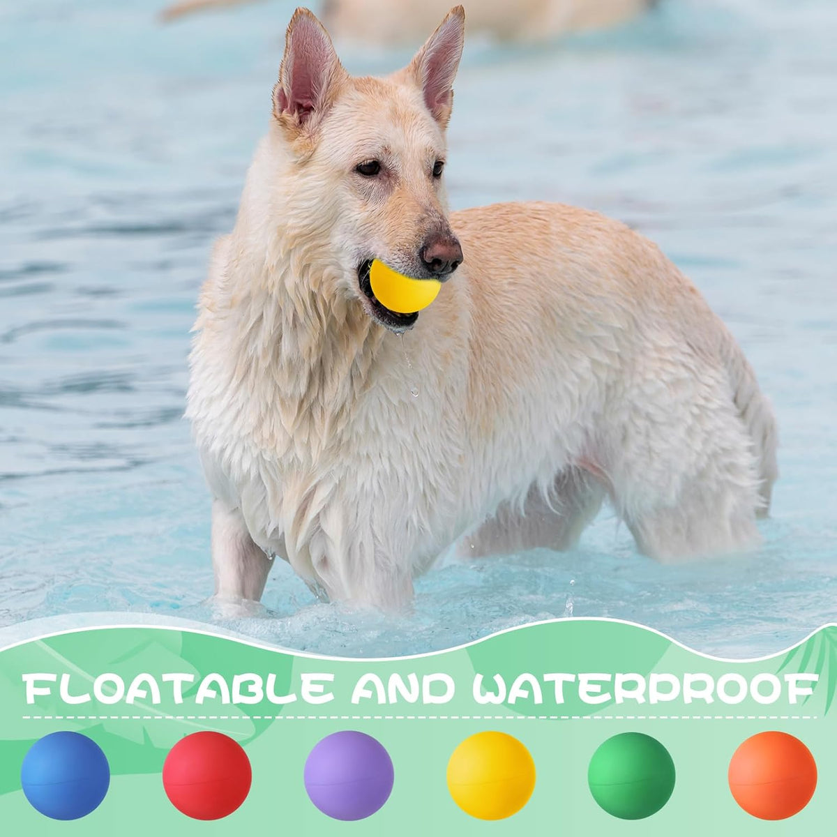 Shappy 12 Pieces Rubber Dog Tennis Balls for Dog Colorful Catching Pet Balls for Fetch Training 2.4