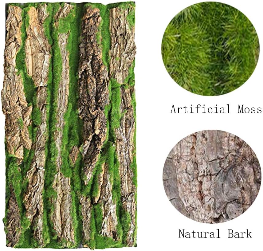 PINVNBY Cork Terrarium Background,Reptile Bark Backdrop Wall Decor and Artificial Moss for