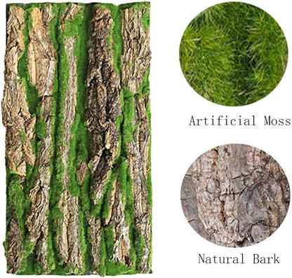 PINVNBY Cork Terrarium Background,Reptile Bark Backdrop Wall Decor and Artificial Moss for
