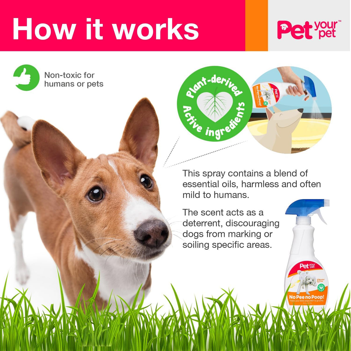 No Pee No Poop Dog Potty Training Spray, 16 Fl Oz – Non-Toxic Dog Spray to Prevent Peeing and