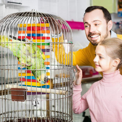 MEWTOGO 2 Pcs Bird Toys - Parrot Toys with Multicolored Natural Wooden Blocks, Chewing Sticks for