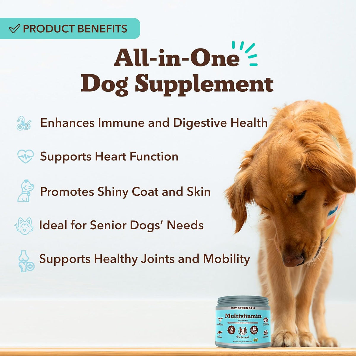 Natural Dog Company Vet Strength Multivitamin Chews for Dogs – Glucosamine, Omega-3 & Biotin for
