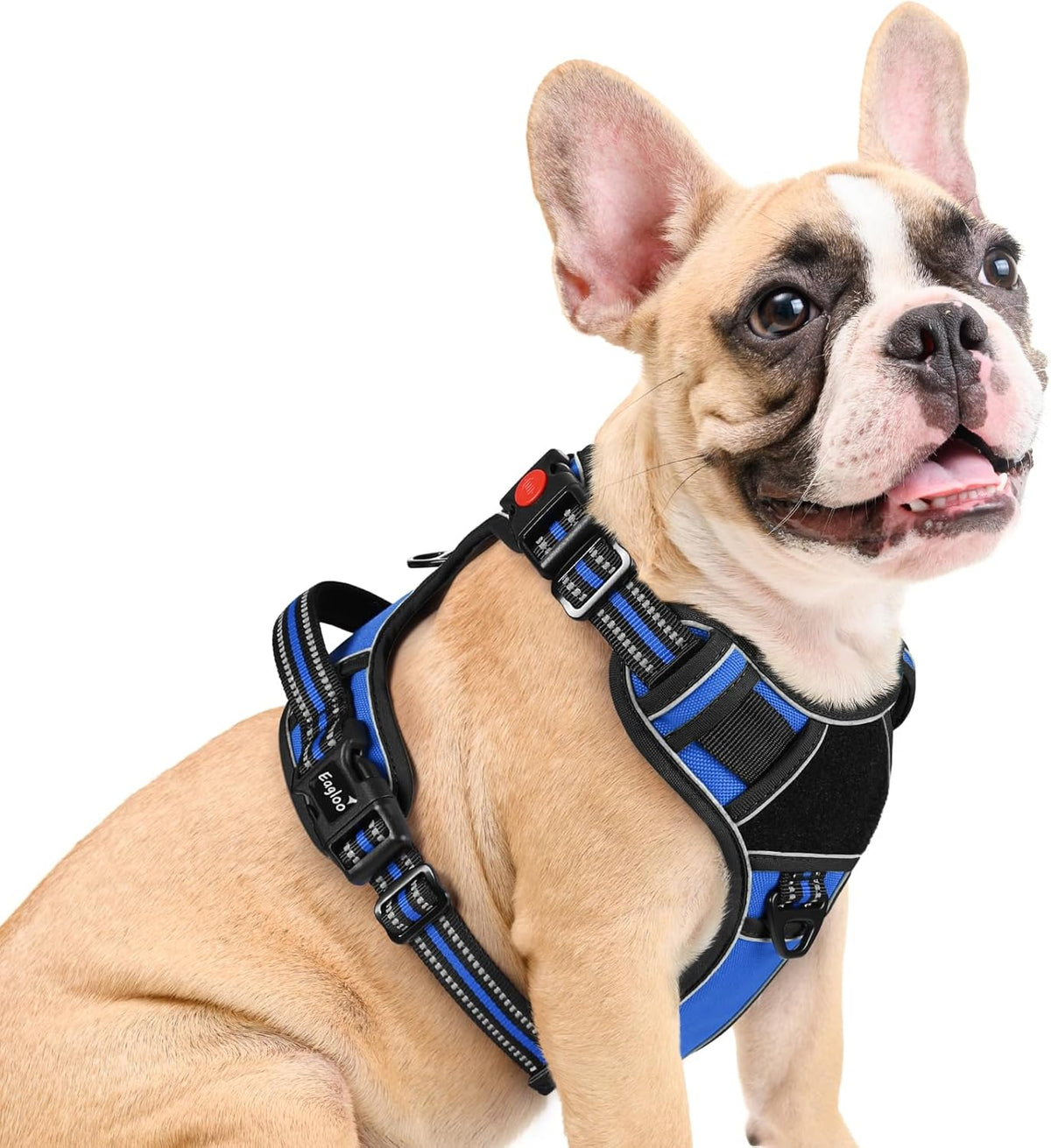 Eagloo Dog Harness Medium Sized, Easy Wearing with 3 Buckles, Adjustable No Pull Pet Harness with 2