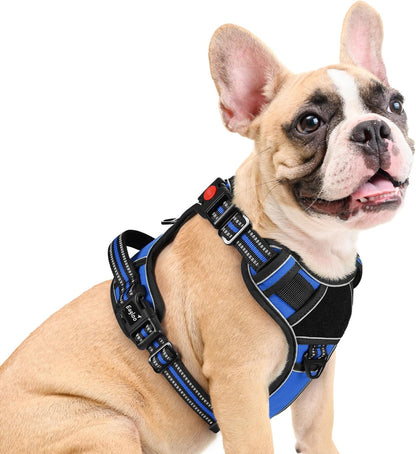 Eagloo Dog Harness Medium Sized, Easy Wearing with 3 Buckles, Adjustable No Pull Pet Harness with 2