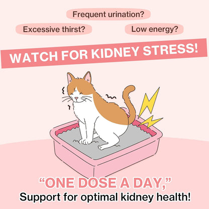 Dr.by UT Care Cat UTI Kidney Support Urinary Supplement Cranberry Treatment for Cats Renal Health