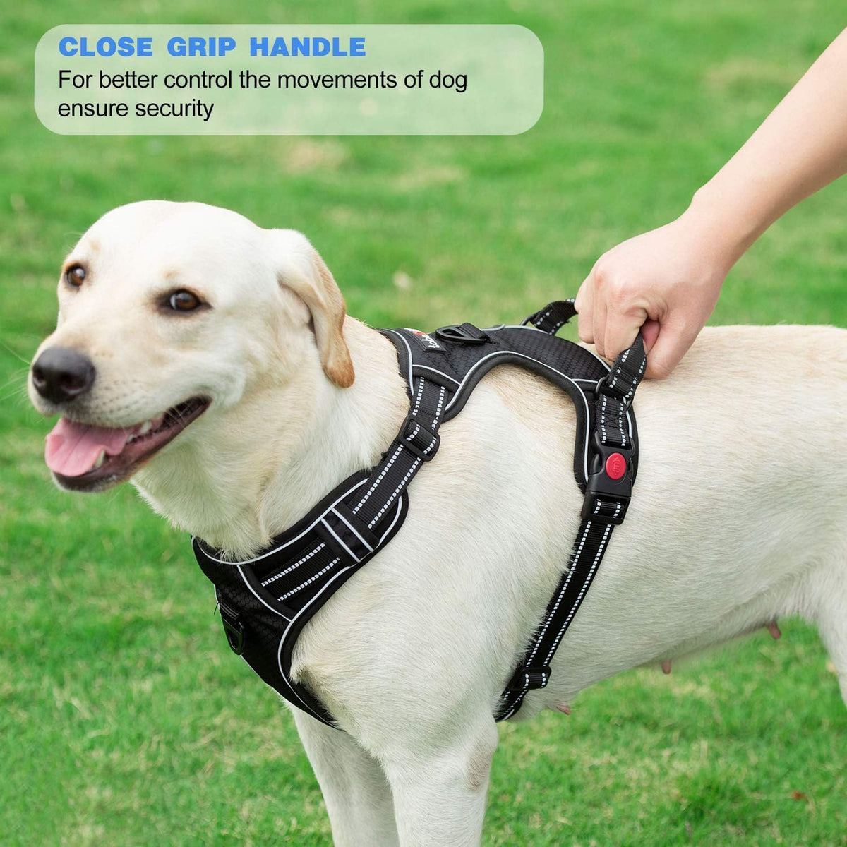 No Pull Dog Harness Adjustable Reflective Oxford Easy Control Medium Large Harness with A Free