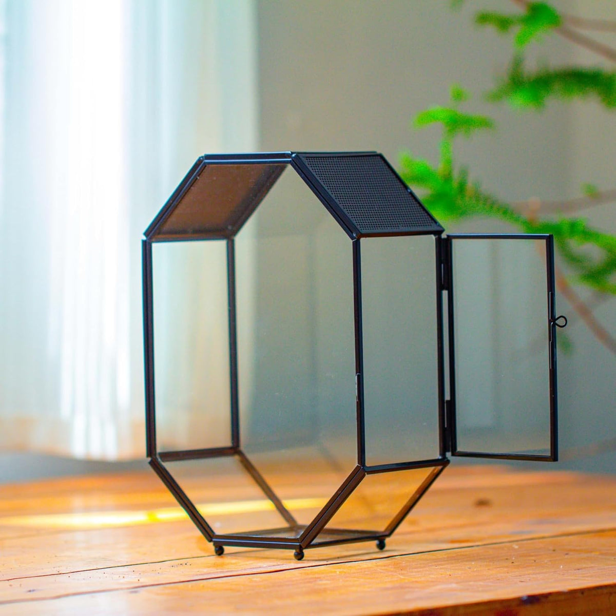 NCYP Glass Enclosure Terrarium with Mesh and Door for Jumping Spiders, Snails, Insects - Octagon