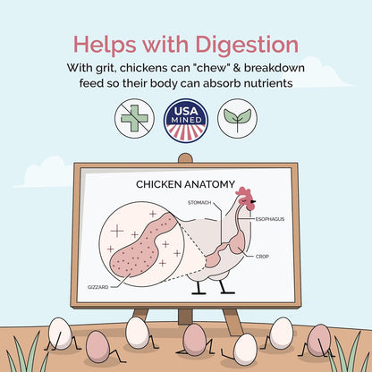 Chicken Grit for Layer & Grower Chickens Age 8-20+ Weeks - 100% Natural Mineral Chicken Grit