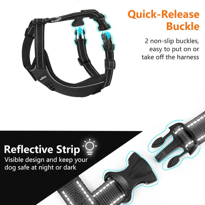 Dog Seat Belt Harness for Car, Dog Car Harness Adjustable Mesh Breathable & Dogs Seatbelt Safety