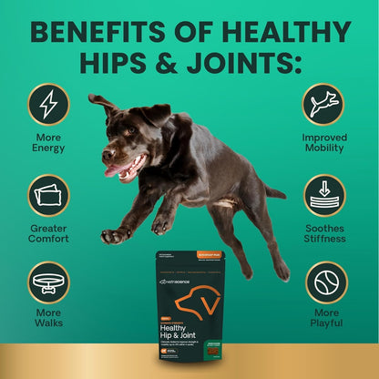 VetriScience Ultimate Strength Healthy Hip & Joint Chews, GlycoFlex Glucosamine, Chondroitin and