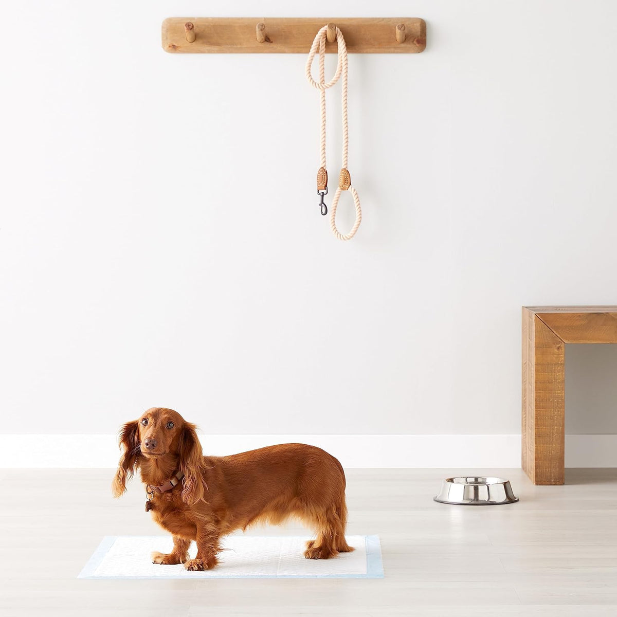 Amazon Basics Heavy Duty Dog and Puppy Pee Pads, 5-Layer Leak-Proof Ultra Absorbent, Quick-Dry