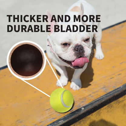 ALL FOR PAWS Interactive Super Bounce Tennis Balls Dog Toy, Pet Safe Toys for Exercise and
