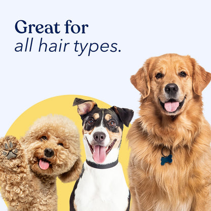 Honest Paws Dog Dry Shampoo - Waterless No Rinse Spray Formula Reducing Itch Cleanse Hydrate