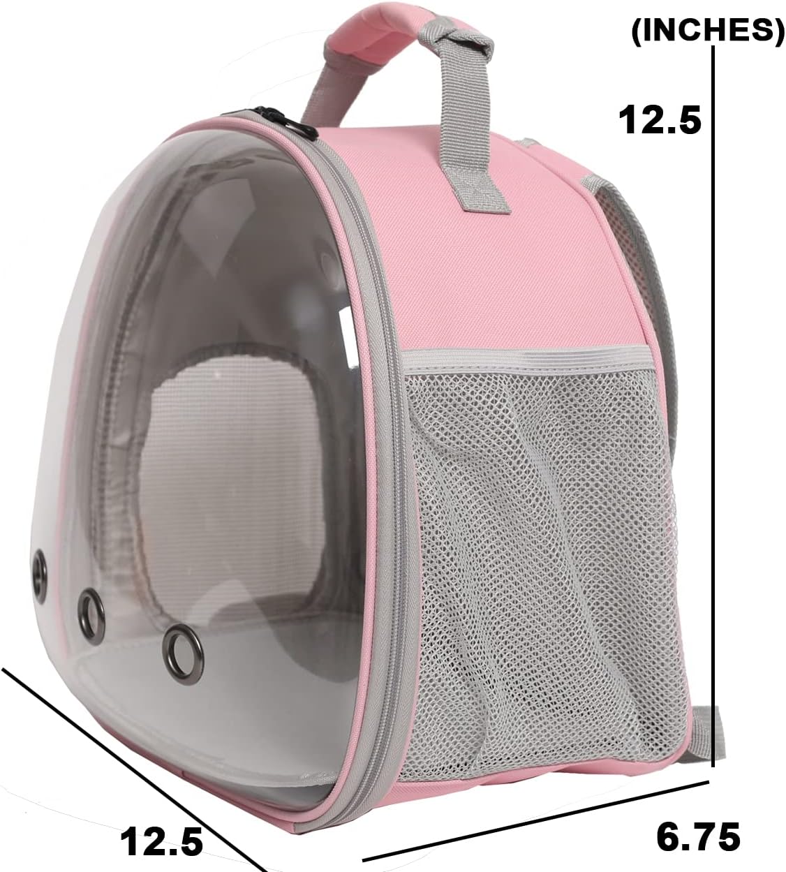 Bearded Dragon Travel Backpack with Harness and Leash Set,Lizard Backpack Travel Carrier,Space