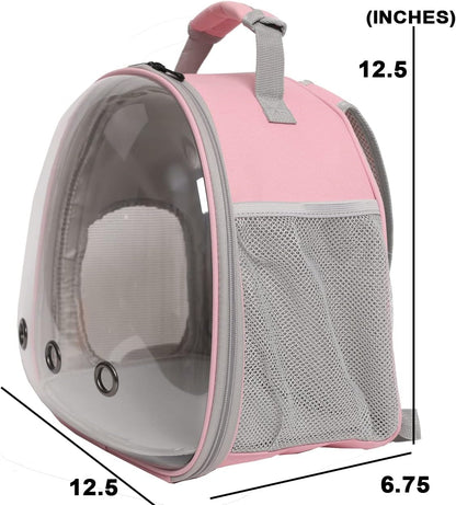 Bearded Dragon Travel Backpack with Harness and Leash Set,Lizard Backpack Travel Carrier,Space
