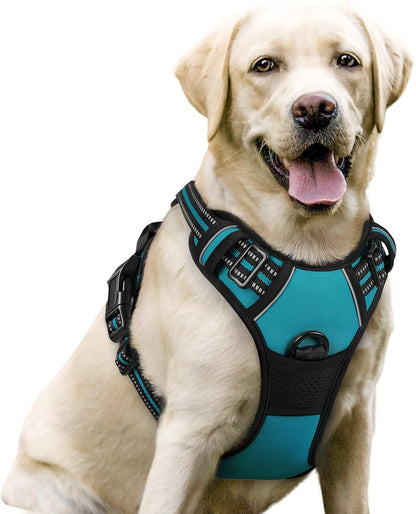 rabbitgoo Dog Harness No Pull with 2 Leash Clips, Adjustable Soft Padded, Reflective Oxford No