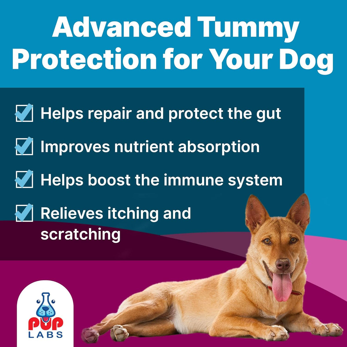 K9 Belly Bliss, All-Natural Gut Health for Dogs, Vet Approved Prebiotic for Dogs for Daily