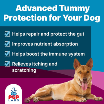 K9 Belly Bliss, All-Natural Gut Health for Dogs, Vet Approved Prebiotic for Dogs for Daily