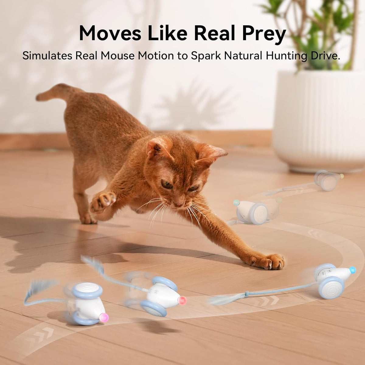Cheerble Interactive Cat Toys for Indoor Cats, Automatic Moving Kitten Toys, Wicked Mouse Neo Cat