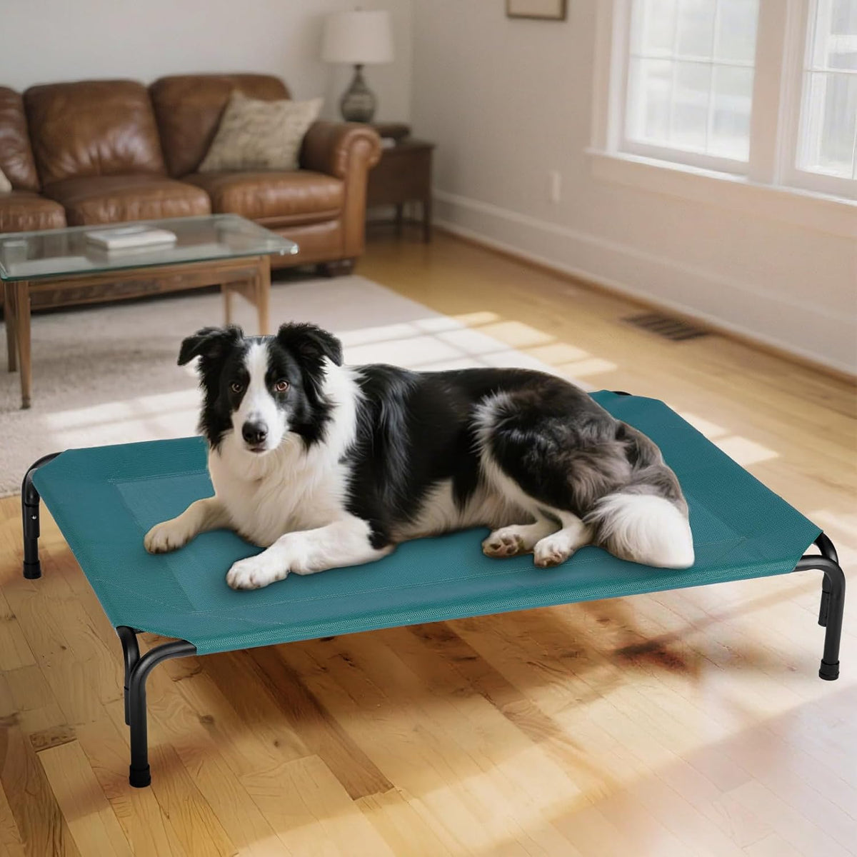 Elevated Dog Bed for Outdoor, XXXL Raised Dogs Cot with Washable Mesh, Cooling Pet Beds Chew Proof