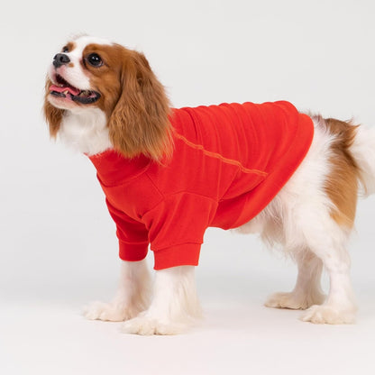 Fitwarm 3 Pack Classic Fleece Dog Sweater, Winter Clothes for Small Dogs Boy Girl, Turtleneck Dog