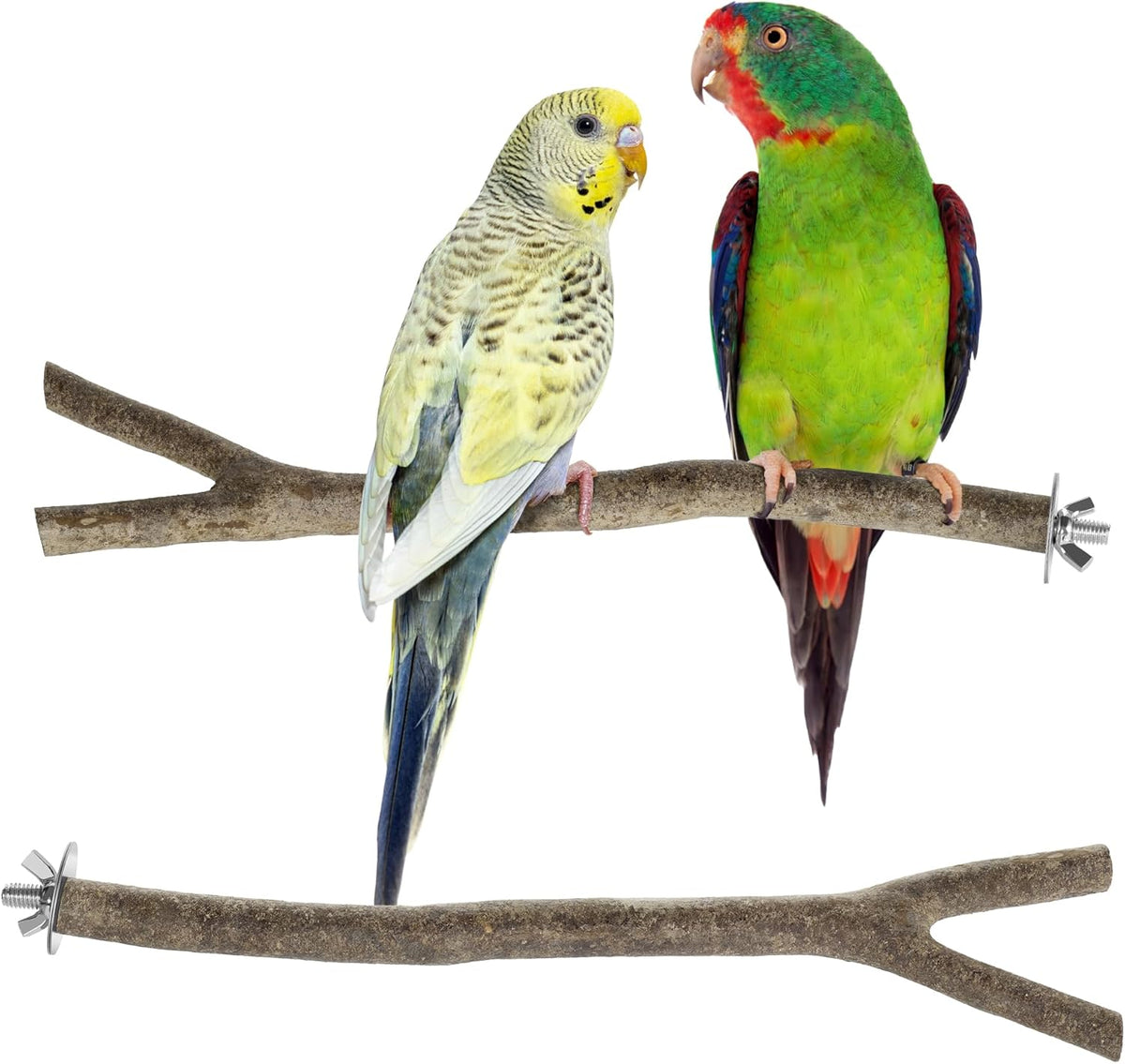 Niteangel Natural Wooden Perches for Bird Cages - Ideal for Cockatiels, Parakeets, Finches & Other