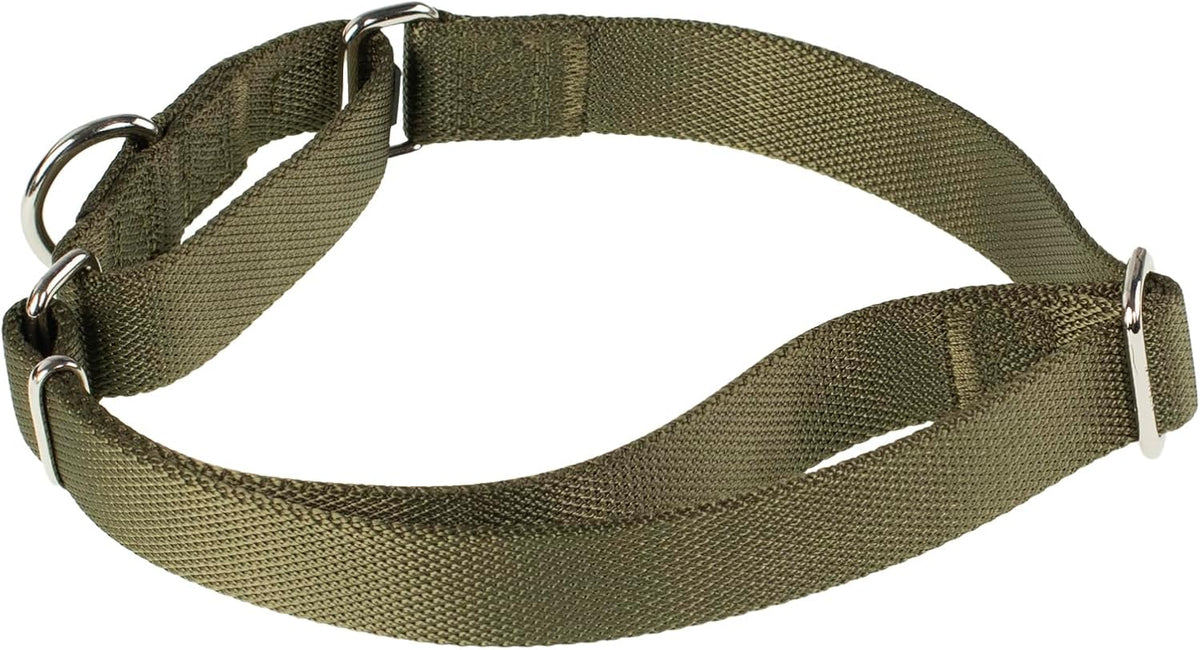 Hyhug Pets Premium Upgraded Heavy Duty Nylon Anti-Escape Martingale Collar for Boy and Girl Dogs