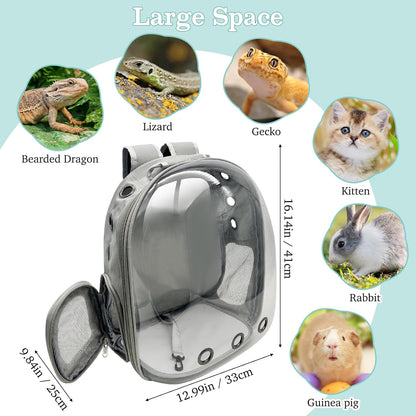 PINVNBY Bearded Dragon Carrier Backpack with Harness and Leash Set Large Reptile Travel Carrier