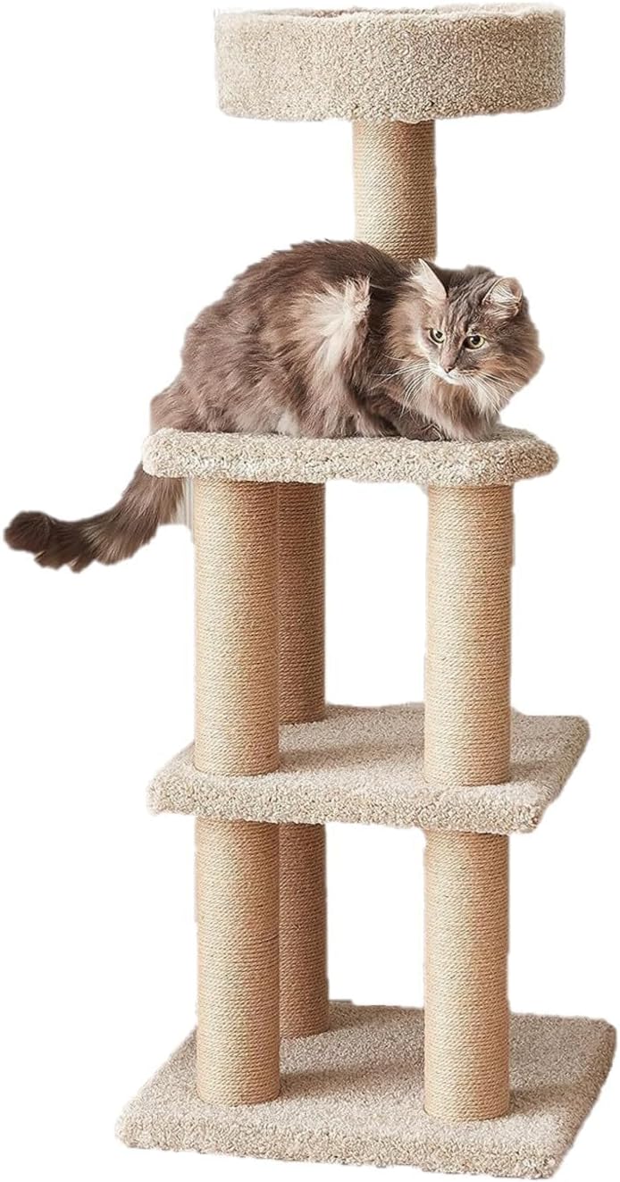 Amazon Basics Cat Tree - Indoor Cat & Kittens Multi-Level Climbing Activity Tower with Scratching