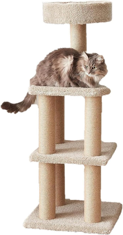 Amazon Basics Cat Tree - Indoor Cat & Kittens Multi-Level Climbing Activity Tower with Scratching