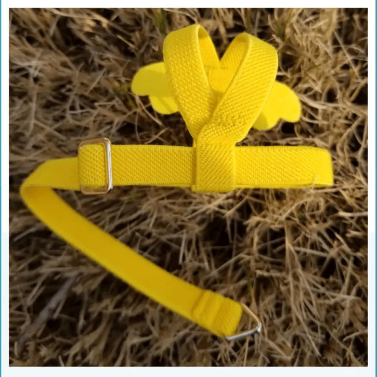 Pet Parrot Bird Harness Leash Adjustable Bird Flying Harness Traction Rope with Cute Wing for