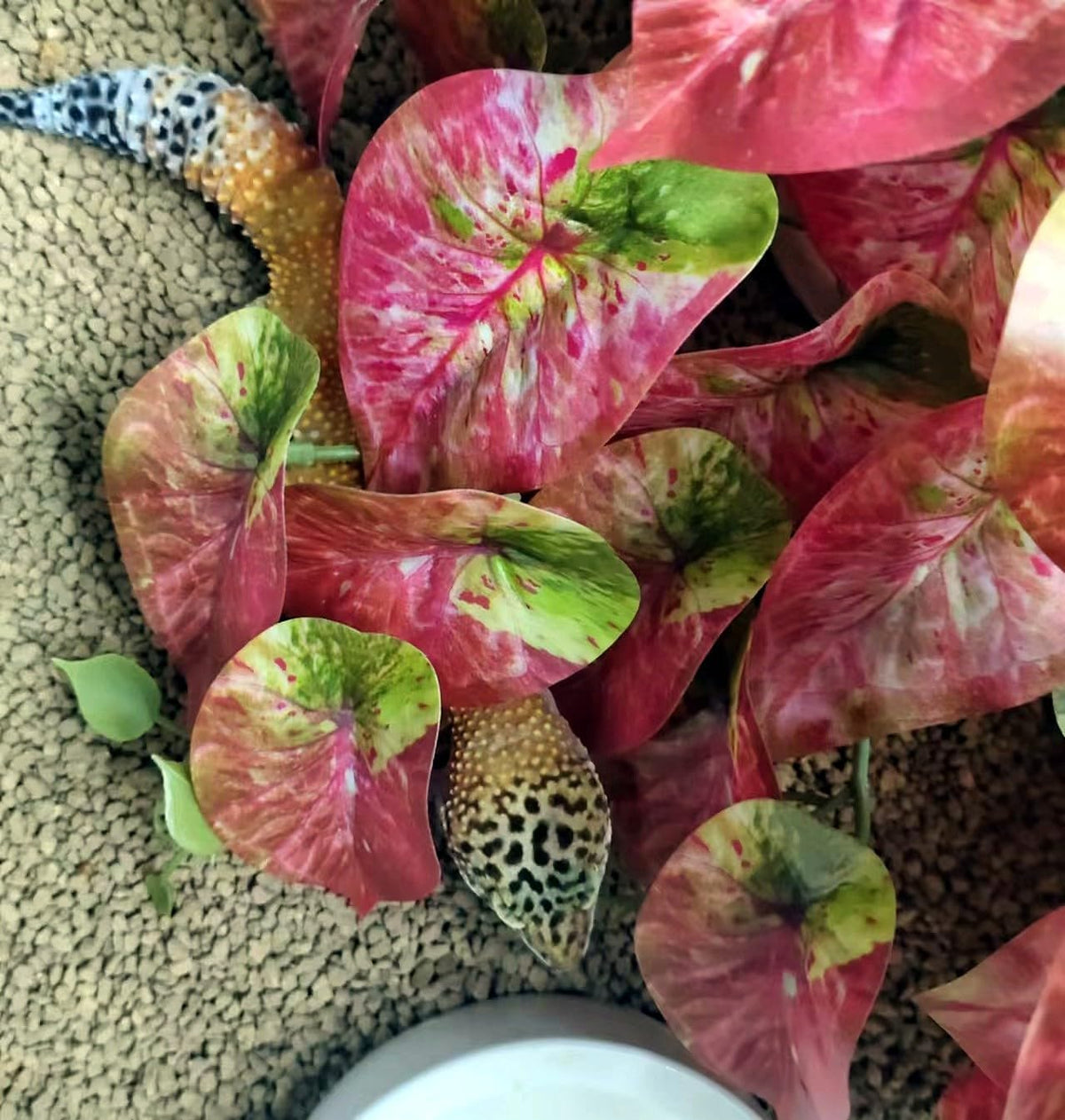 2 Pack Reptile Plants for Terrarium Decor, Amphibian Habitat Decor, Reptile Tank Accessories
