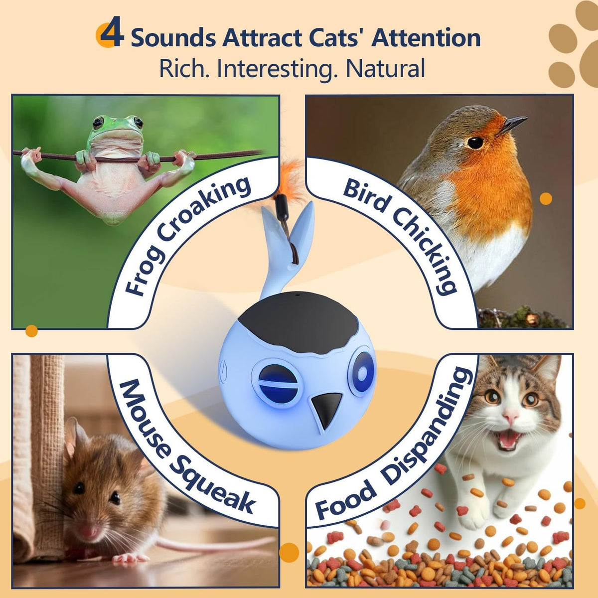 ORSDA Cat Toys, Interactive Cat Toy for Indoor Cats, Automatic Moving Ball Bird for Indoor Adult