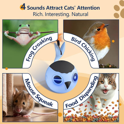 ORSDA Cat Toys, Interactive Cat Toy for Indoor Cats, Automatic Moving Ball Bird for Indoor Adult