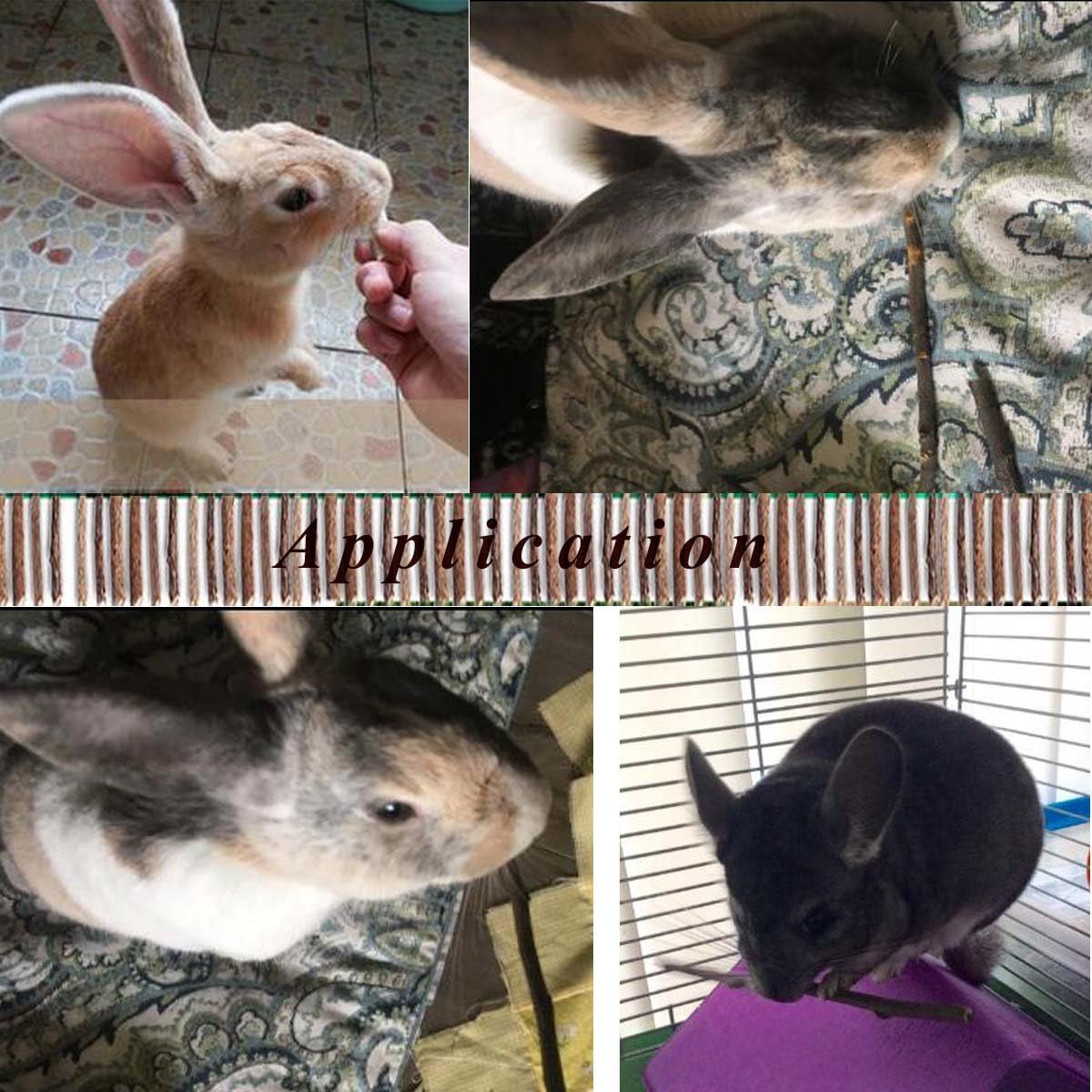 250g Apple Sticks Small Animals Molar Wood Treats Toys for Rabbits Chinchillas Guinea Pig Hamster