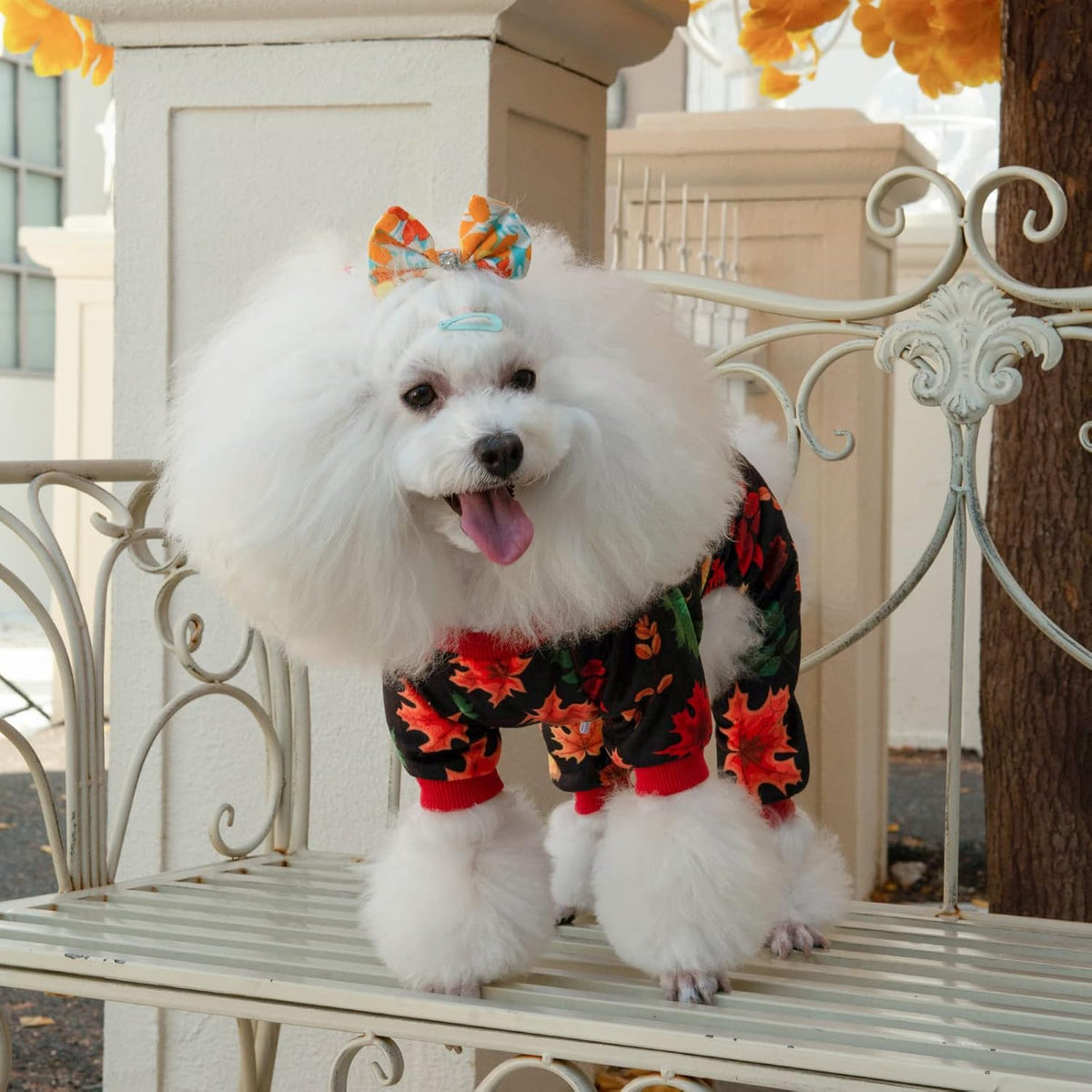 CuteBone Dog Halloween Pajamas Puppy Onesies Small Dogs Soft Pjs Coat Cat Apparel Comfy Pet