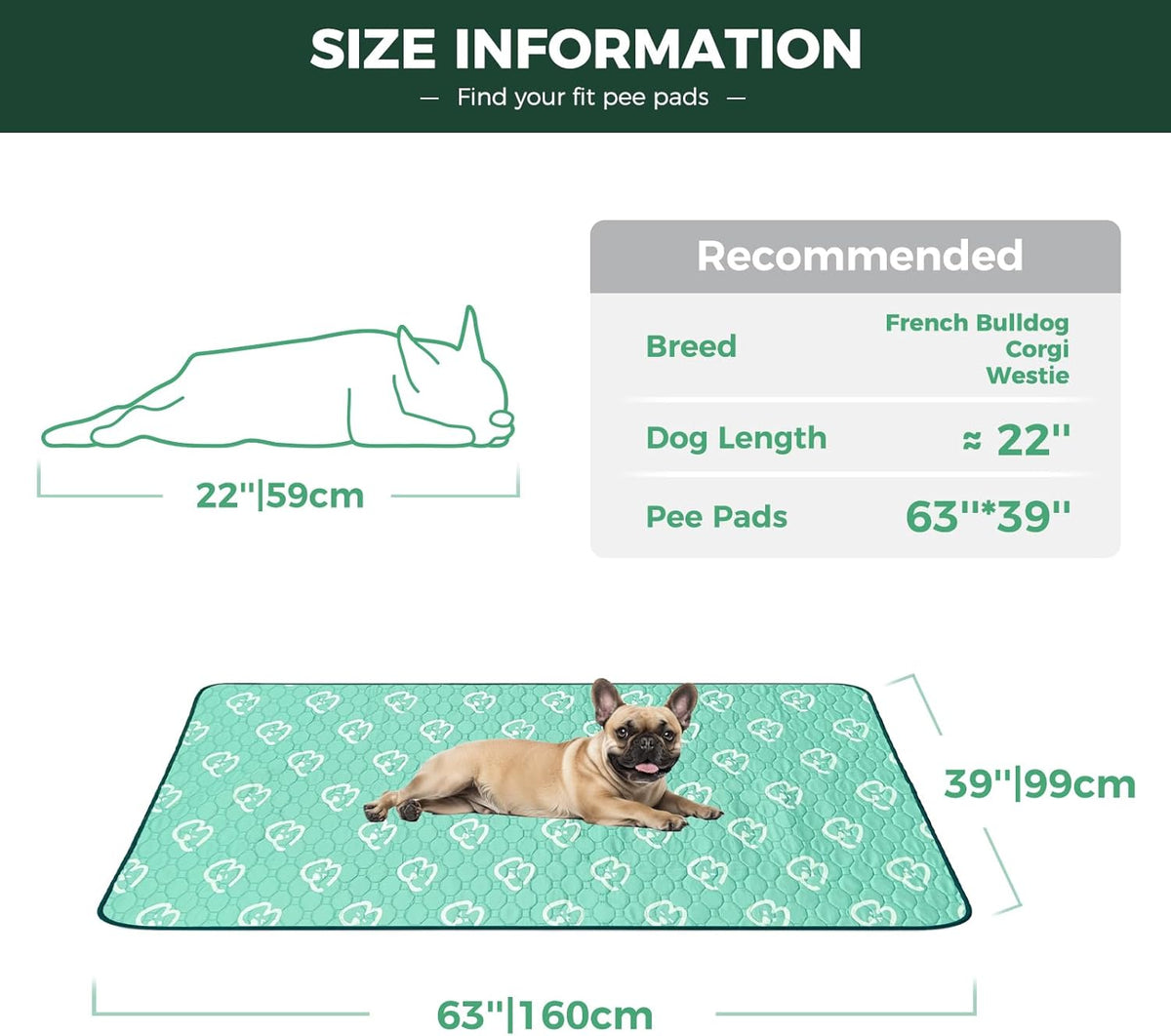 FXW Washable Pee Pads for Dogs, Puppy Pads with Super Absorbent, Specifically Designed for FXW