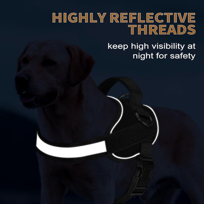 Haapaw Essential Dog Harness, No Pull Pet Vest with 3 Leash Clips, No Choke, Reflective, Adjustable
