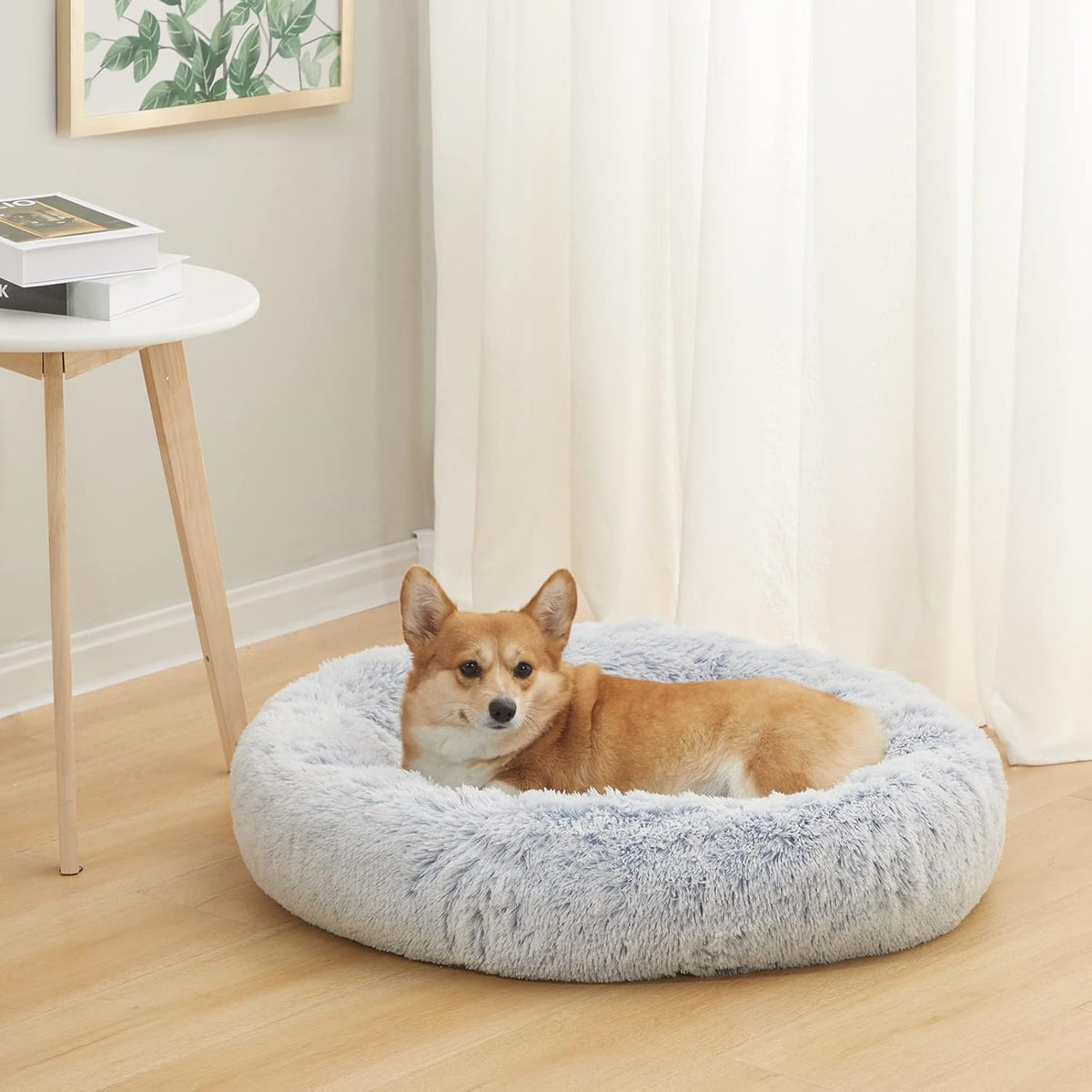 Bedfolks Calming Donut Dog Bed, 30 Inches Round Fluffy Dog Beds for Medium Dogs, Anti-Anxiety Plush
