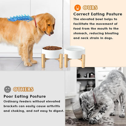 SPUNKYJUNKY Ceramic Elevated Dog Bowls 2 Pack - 6.1inch Raised Dog Bowls with Non-Slip Wooden Stand