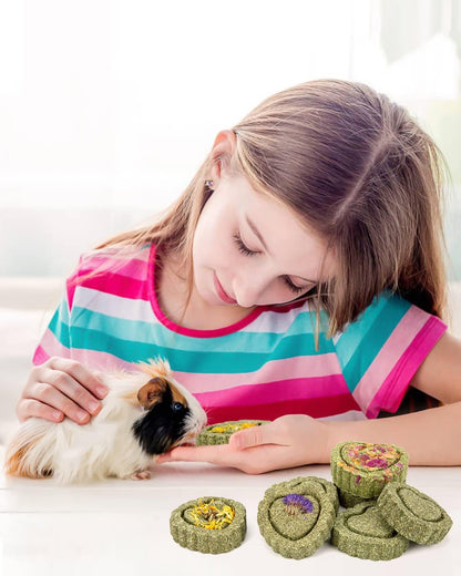 Sofier 28Pcs Timothy Hay Treats Rabbit Toys Bunny Toys Guinea Pig Natural Handmade Treats and Chews