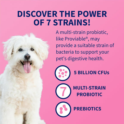 Nutramax Proviable Probiotics for Dogs and Cats, Daily Digestive Health Supplement with Multiple